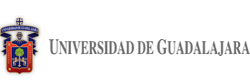 Portal UDG